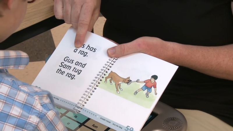 A Child and An Adult Pointing to Words in A Book, Practicing Phonemic Awareness Through Interactive Reading